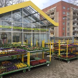 Blumen- und Pflanzenhaus Gärtner in Leipzig