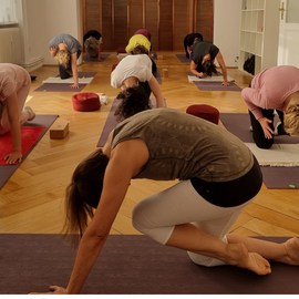 myyoga - Yoga in Wiesbaden in Wiesbaden
