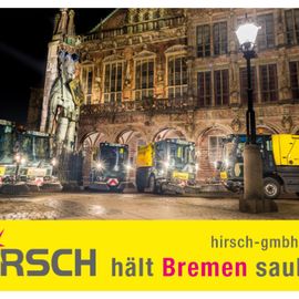 Hirsch in Bremen