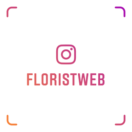 Floristweb in Kitzingen