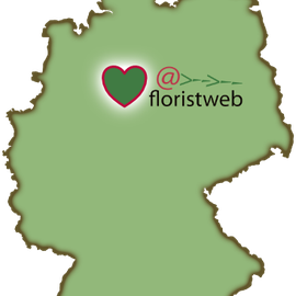 Floristweb in Kitzingen