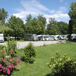 Busses Camping