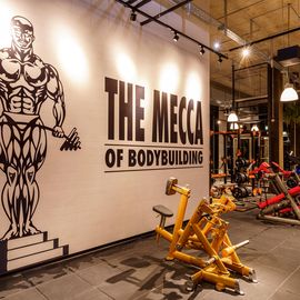 Design-Wand "The Mecca of Bodybuilding"