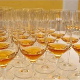 Für Anfänger und Wissbegierige Whisky-Basis-Seminar