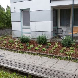 Grün & mehr Garten- und Landschaftsbau Thorsten Merkle in Esslingen