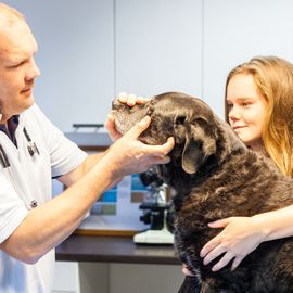 Tierarztpraxis Wolfgang Kahle in Düsseldorf