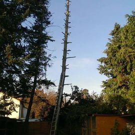 Heiko Jester - Garten- und Landschaftsbau GbR in Speyer