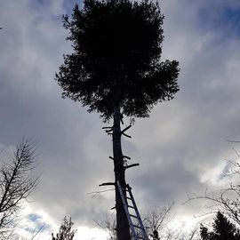 Heiko Jester - Garten- und Landschaftsbau GbR in Speyer