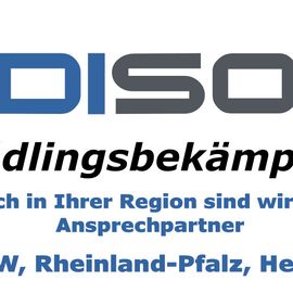 DISO Schädlingsbekämpfung in Eitorf