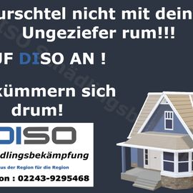 DISO Schädlingsbekämpfung in Eitorf