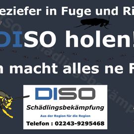 DISO Schädlingsbekämpfung in Eitorf