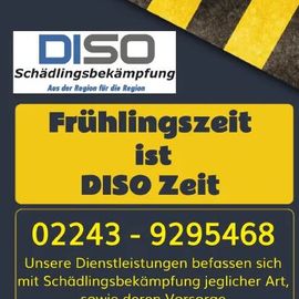 DISO Schädlingsbekämpfung in Eitorf