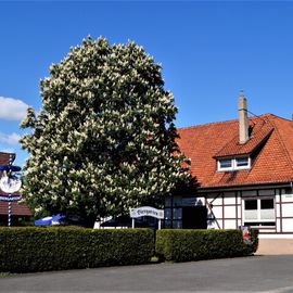 Landgasthaus Zum braunen Hirsch Christian Aue in Alfeld