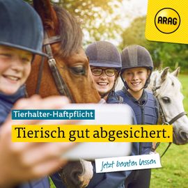 ARAG Versicherung Syke in Syke