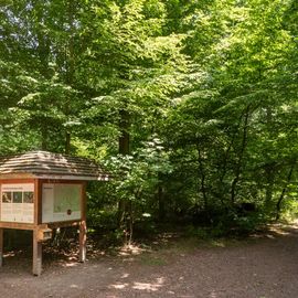 FriedWald Schönebeck (Elbe) in Schönebeck an der Elbe