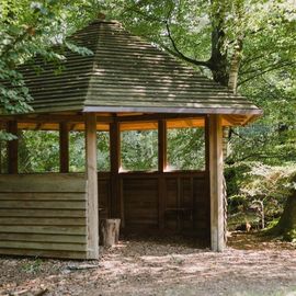 FriedWald Hasbruch in Hude in Oldenburg