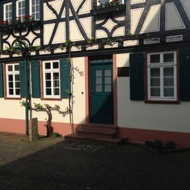 Holzland Klein - Fenster - Türen - Parkett in Mainz