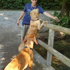 Guido Bauer Hundetrainer & Verhaltensberater in München