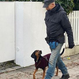 Guido Bauer Hundetrainer & Verhaltensberater in München