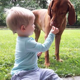 Guido Bauer Hundetrainer & Verhaltensberater in München