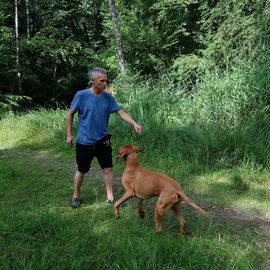 Guido Bauer Hundetrainer & Verhaltensberater in München