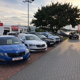 Autoland AG Niederlassung Cottbus in Kolkwitz