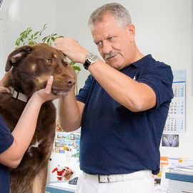 Tierarztpraxis Dr. Hennecken in Stolberg im Rheinland