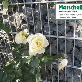 Marschall + Hansen Zaunanlagen GmbH in Kerpen im Rheinland