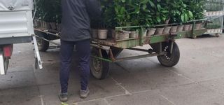 Bild zu AHRTAL Pflanzenhandel