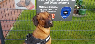 Bild zu DSD Sicherheitsdienst Matthias Dreiucker Matthias Dreiucker