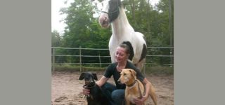 Bild zu Hund und Pferd - Verhaltenstherapie und Training