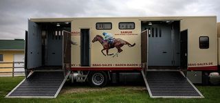 Bild zu Pferdetransporte Andreas Fallert