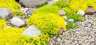 Bild zu Garten- und Landschaftsbau Sven Olzmann