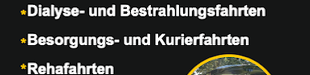 Bild zu Driving Service 66 Fahrdienst - Krankenfahrten Rollimobil