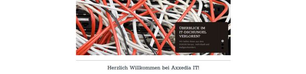 Bild zu Axxedia IT GmbH