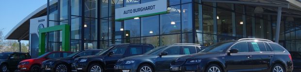 Bild zu Auto Burghardt GmbH