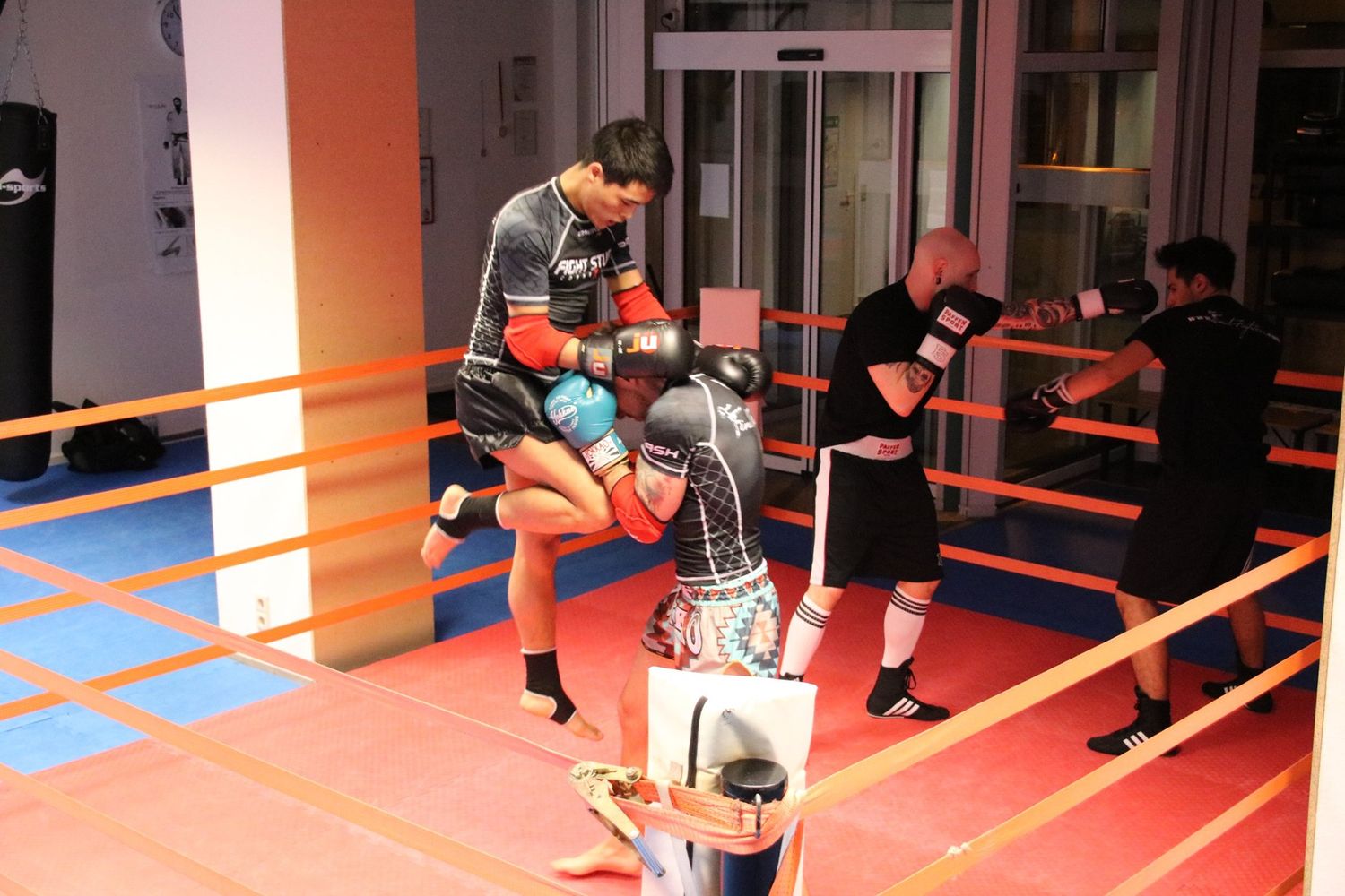 Final Fighters Gym Zwickau e.V. » Kampfsport in Zwickau