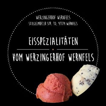 Logo von Eisspezialitäten Werzingerhof Wernfels - Pfahler Eis in Spalt