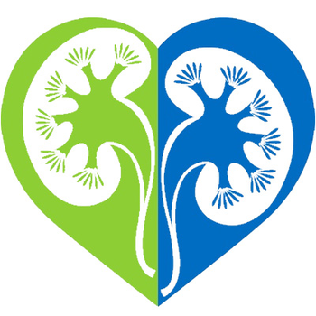 Logo von Gemeinschaftspraxis für Nieren- und Hochdruckkrankheiten Essen-Steele in Essen