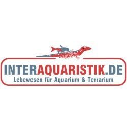 Logo von Interaquaristik.de Shop in Biedenkopf