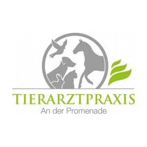 Logo von Tierarztpraxis Dr. Annemarie Blanke GmbH in Weißenfels