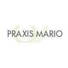 Logo von PRAXIS MARIO Praxis für Physiotherapie und Traditionelle Chinesische Medizin in Stuttgart