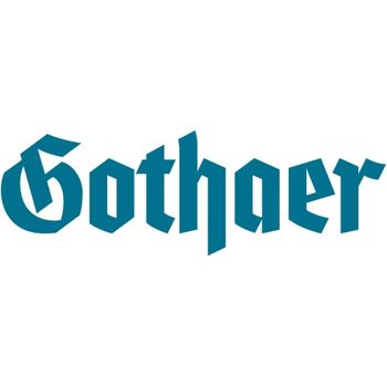 Logo von Michael Schneider Gothaer in Hof an der Saale
