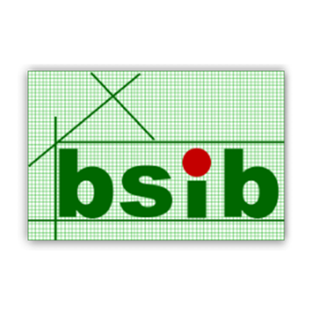 Logo von BS-IB Bausachverständigen- und Ingenieurbüro Dipl.-Ing. (FH) Uwe Pinther in Wildau