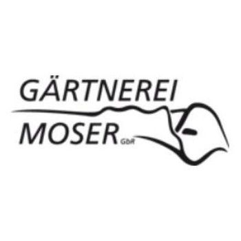 Logo von Gärtnerei Moser GbR in Stuttgart