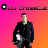 Logo von DJ CrossCut - Hochzeits DJ Berlin in Berlin