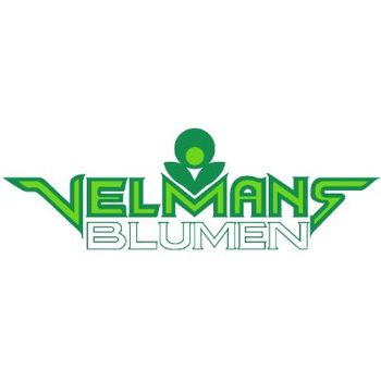 Logo von Blumen Velmans Inh. Kirill Smirnov in Geldern