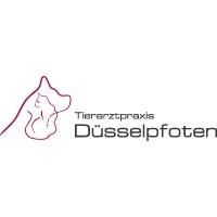 Logo von Tierarztpraxis Düsselpfoten Dr. Hoelper & Dr. Wuchert | Tierarzt Düsseldorf in Düsseldorf