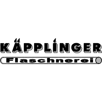 Logo von Käpplinger GmbH & Co. KG in Schrozberg