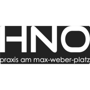 Logo von HNO Arzt Dr. Med. Andreas Stehle / München in München